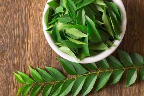Kem thảo dược chứa dịch chiết neem giúp hỗ trợ cải thiện mụn ẩn hiệu quả